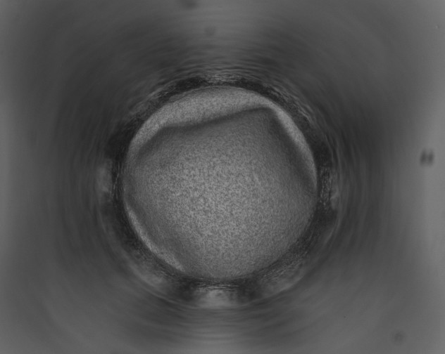 X0000089960655200707131538