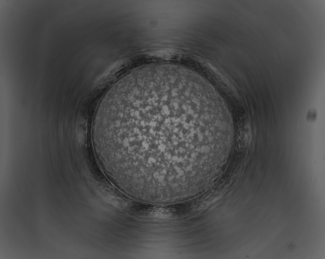 X0000089960656200707131538