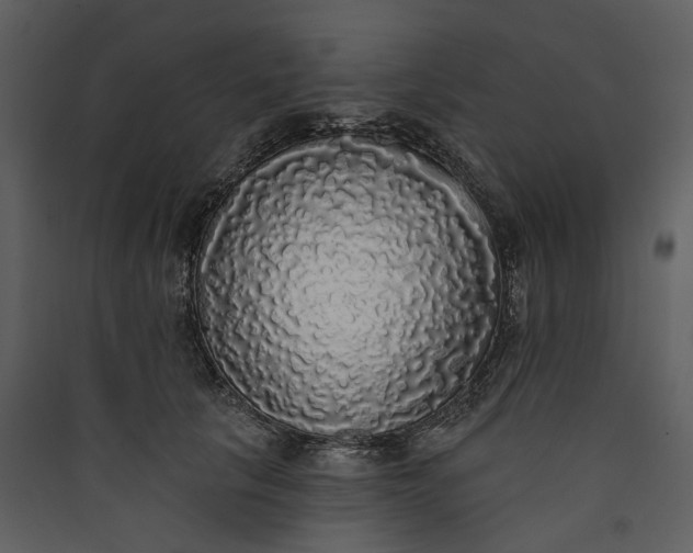 X0000089960657200707131538