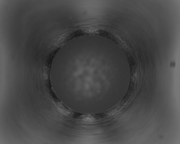 X0000089960658200707131538