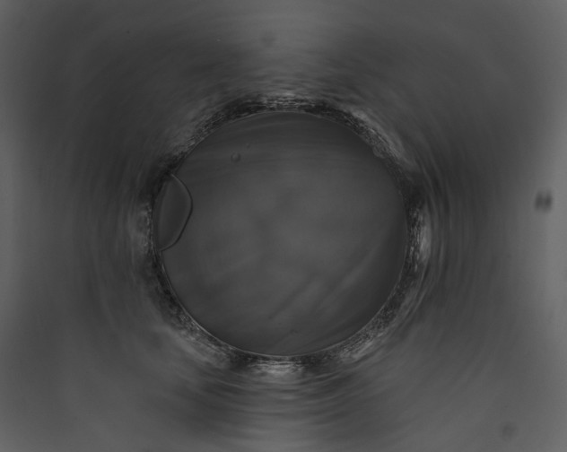 X0000089960659200707131538