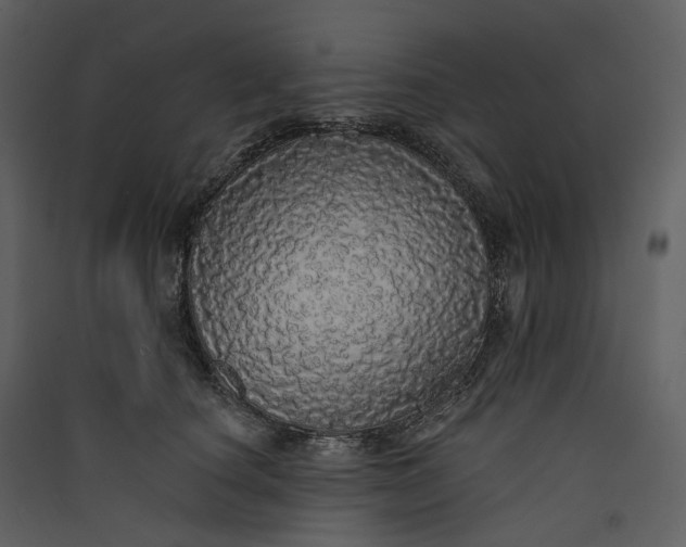 X0000089960660200707131538