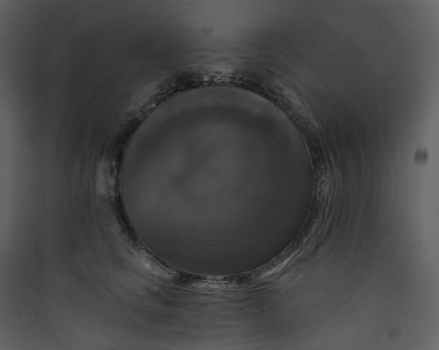 X0000089960661200707131538