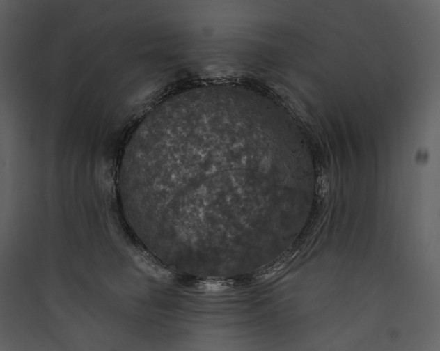 X0000089960662200707131538