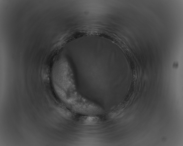 X0000089960663200707131538