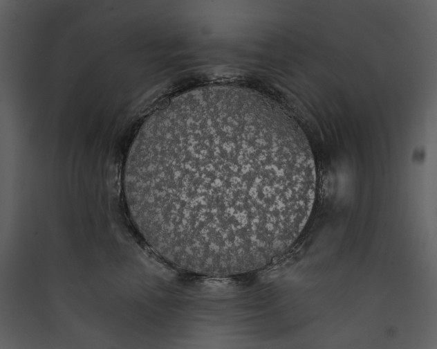 X0000089960666200707131538
