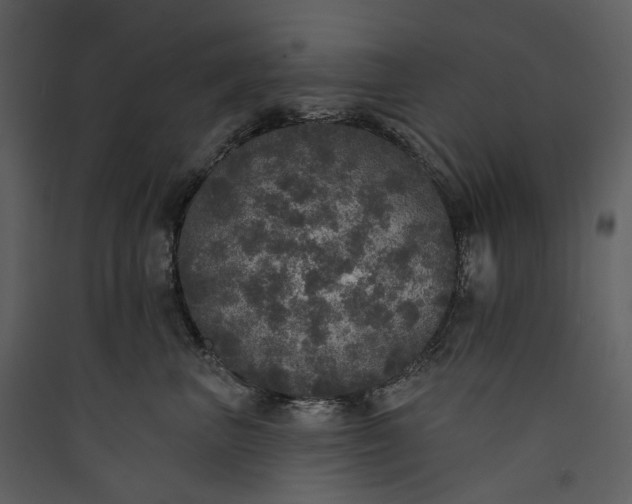 X0000089960667200707131538