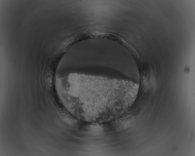 X0000089960668200707131538