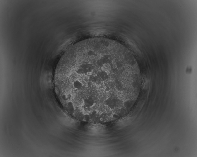 X0000089960670200707131538