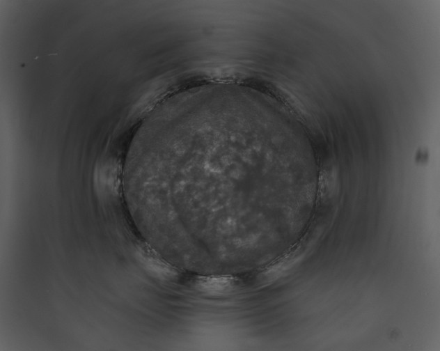X0000089960671200707131538
