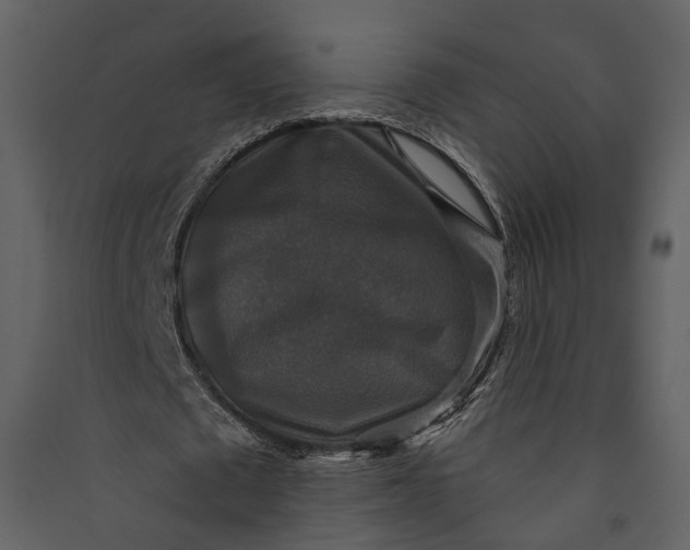 X0000089960673200707131538