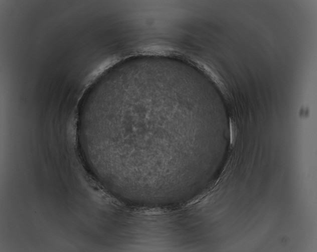 X0000089960675200707131538
