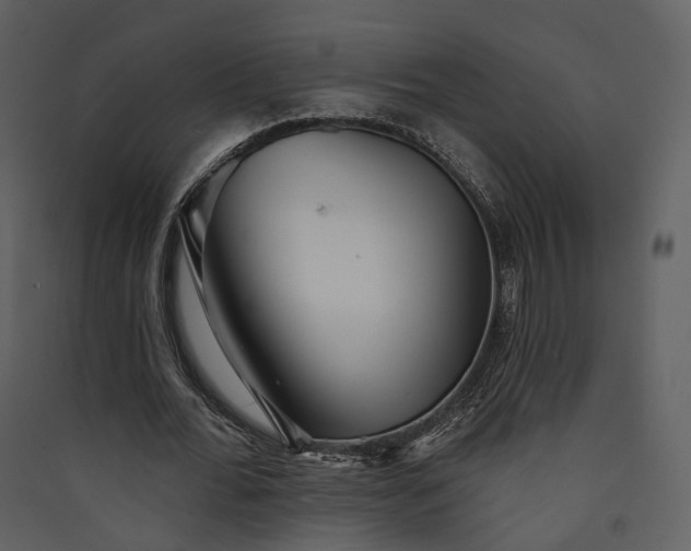X0000089960676200707131538