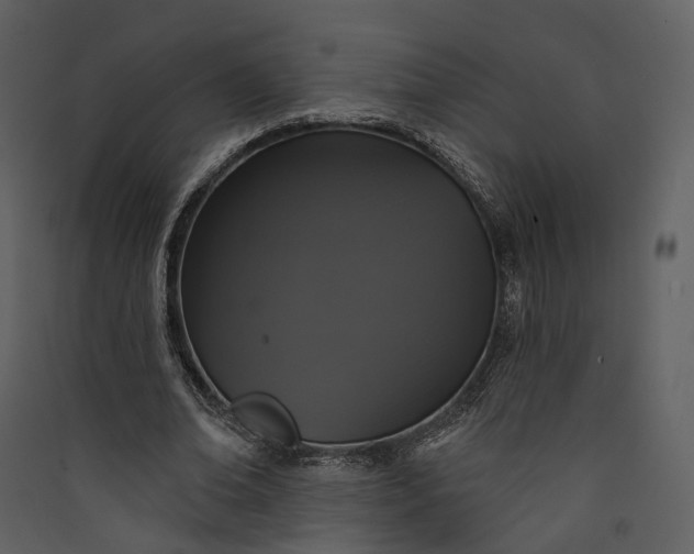 X0000089960678200707131538