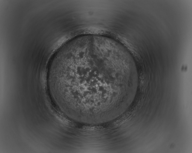 X0000089960679200707131538