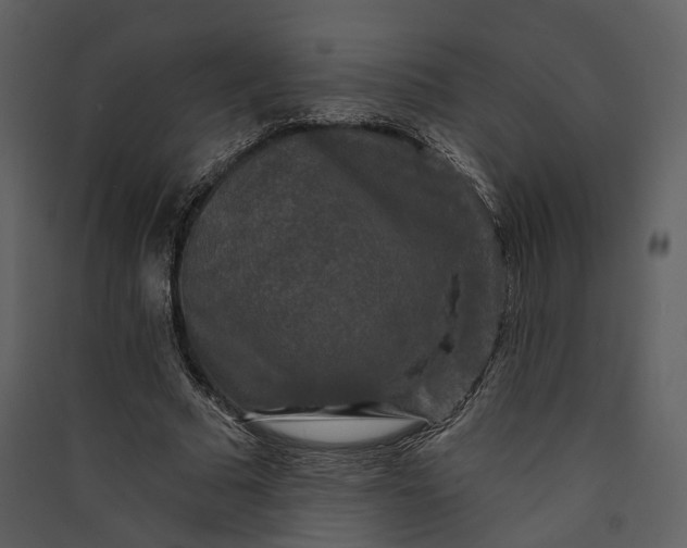 X0000089960681200707131538