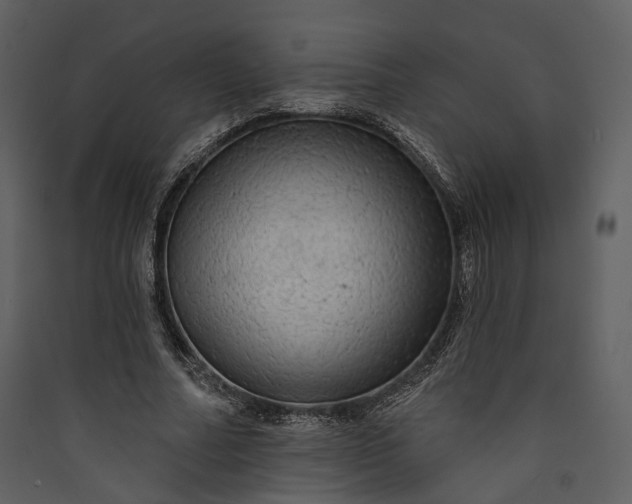 X0000089960682200707131538