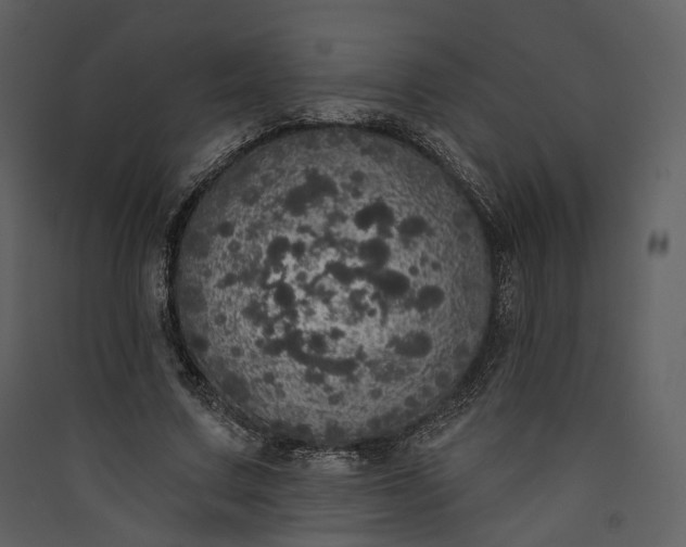 X0000089960683200707131538