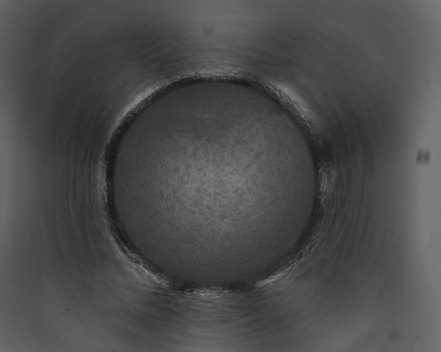 X0000089960684200707131538