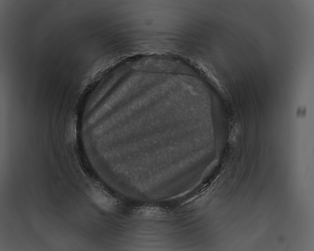 X0000089960685200707131538