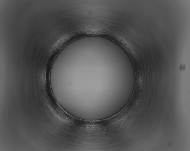 X0000089960686200707131537