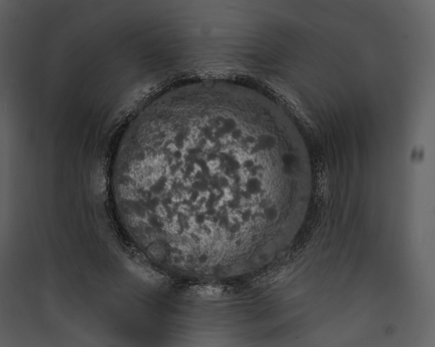 X0000089960687200707131537