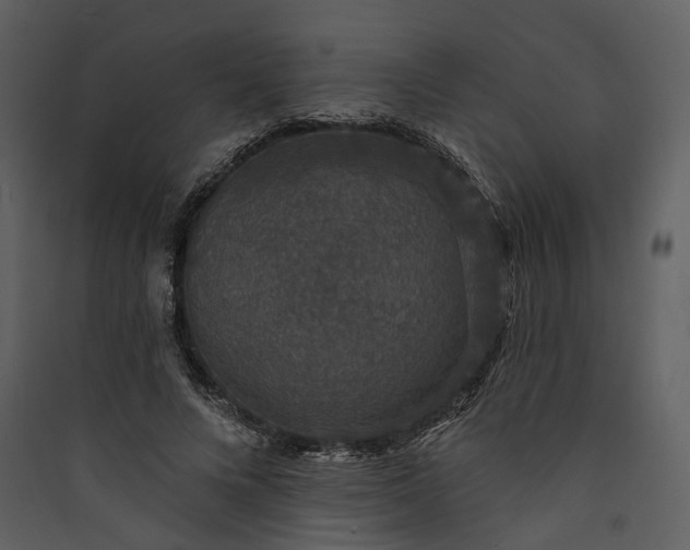 X0000089960688200707131537