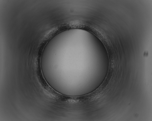 X0000089960690200707131537