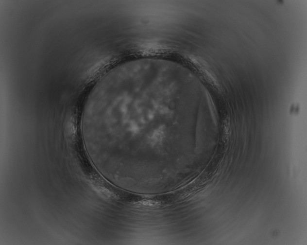 X0000089960691200707131537