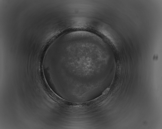 X0000089960692200707131537
