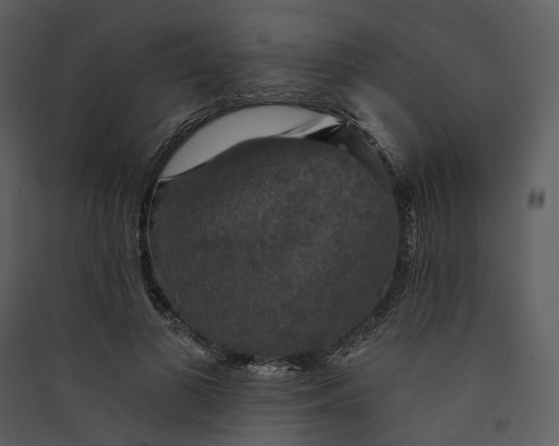 X0000089960693200707131537