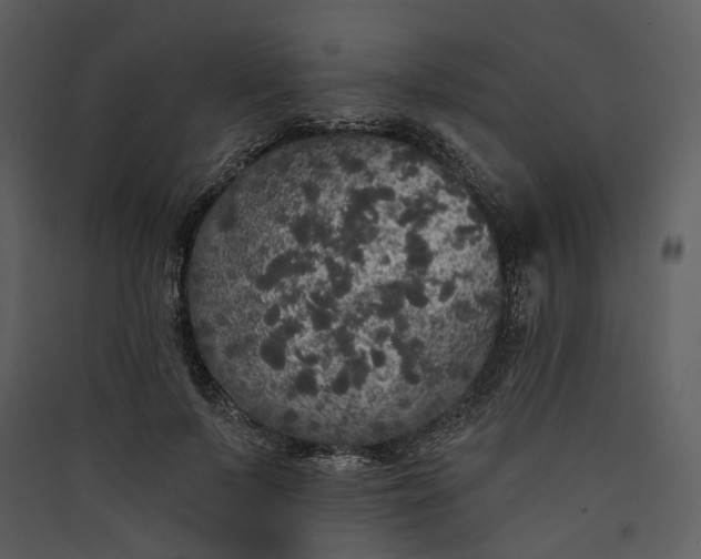 X0000089960695200707131537