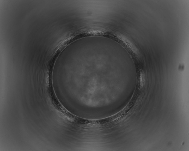 X0000089960696200707131537