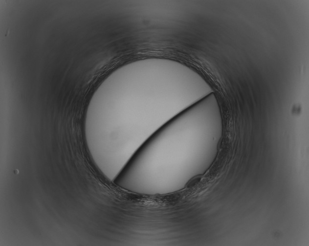 X0000089960697200707131537