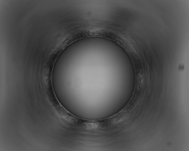 X0000089960698200707131537