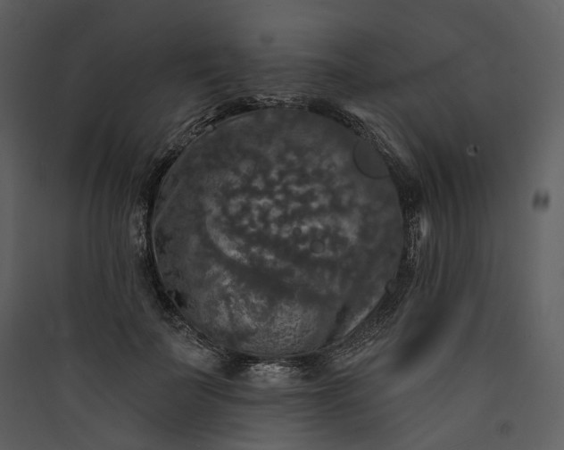 X0000089960699200707131537
