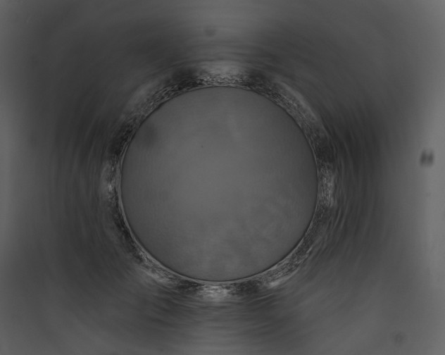 X0000089960701200707131537