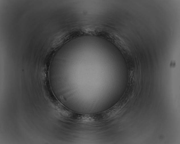 X0000089960702200707131537