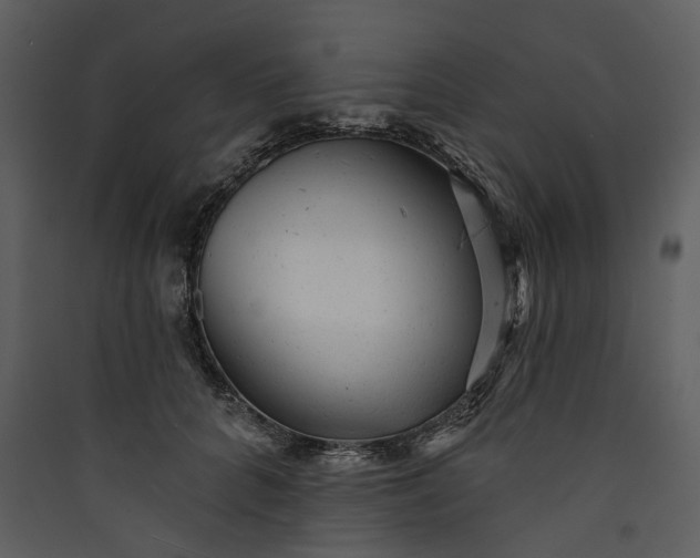 X0000089960704200707131537