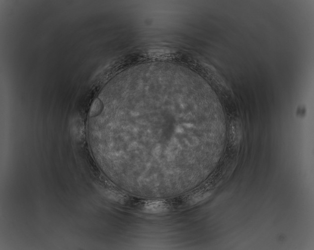 X0000089960705200707131537
