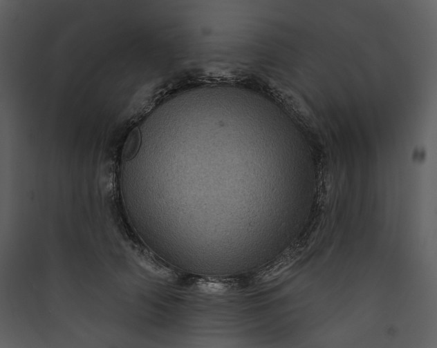 X0000089960706200707131537