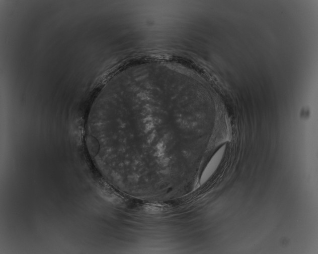X0000089960707200707131537