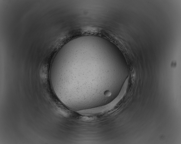 X0000089960708200707131537