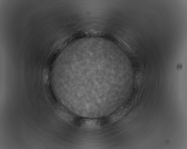X0000089960709200707131537