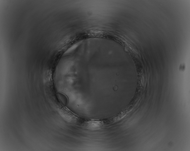X0000089960711200707131537