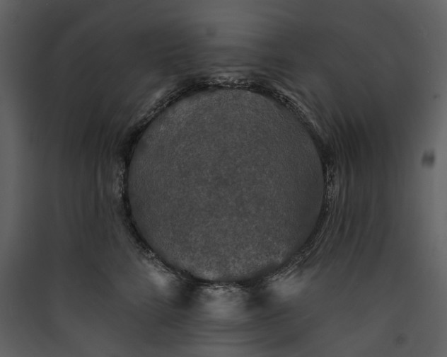 X0000089960712200707131537