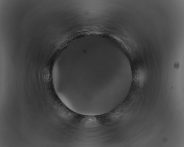X0000089960715200707131537