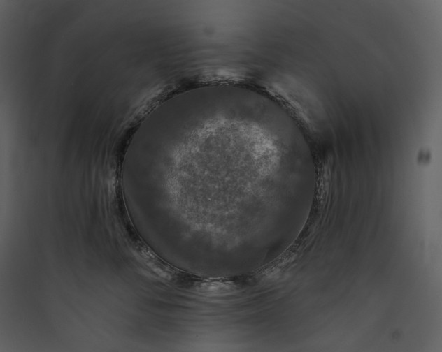 X0000089960716200707131537