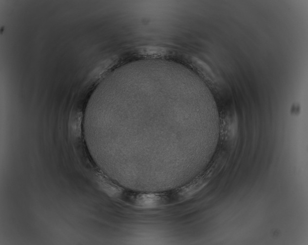 X0000089960717200707131537