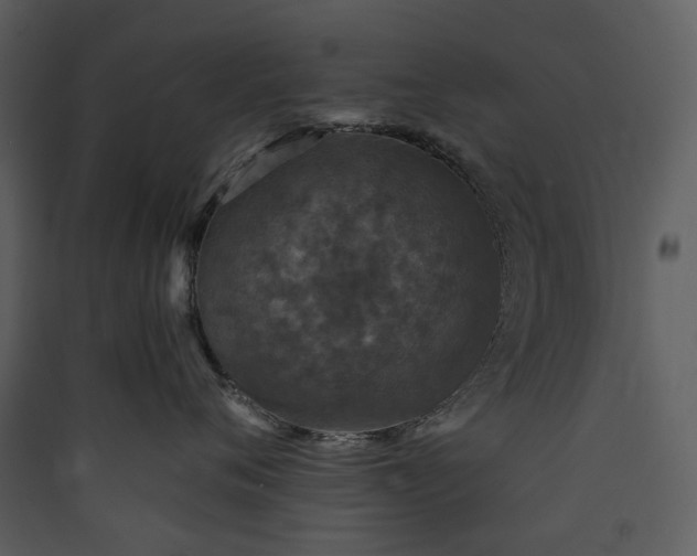 X0000089960720200707131537